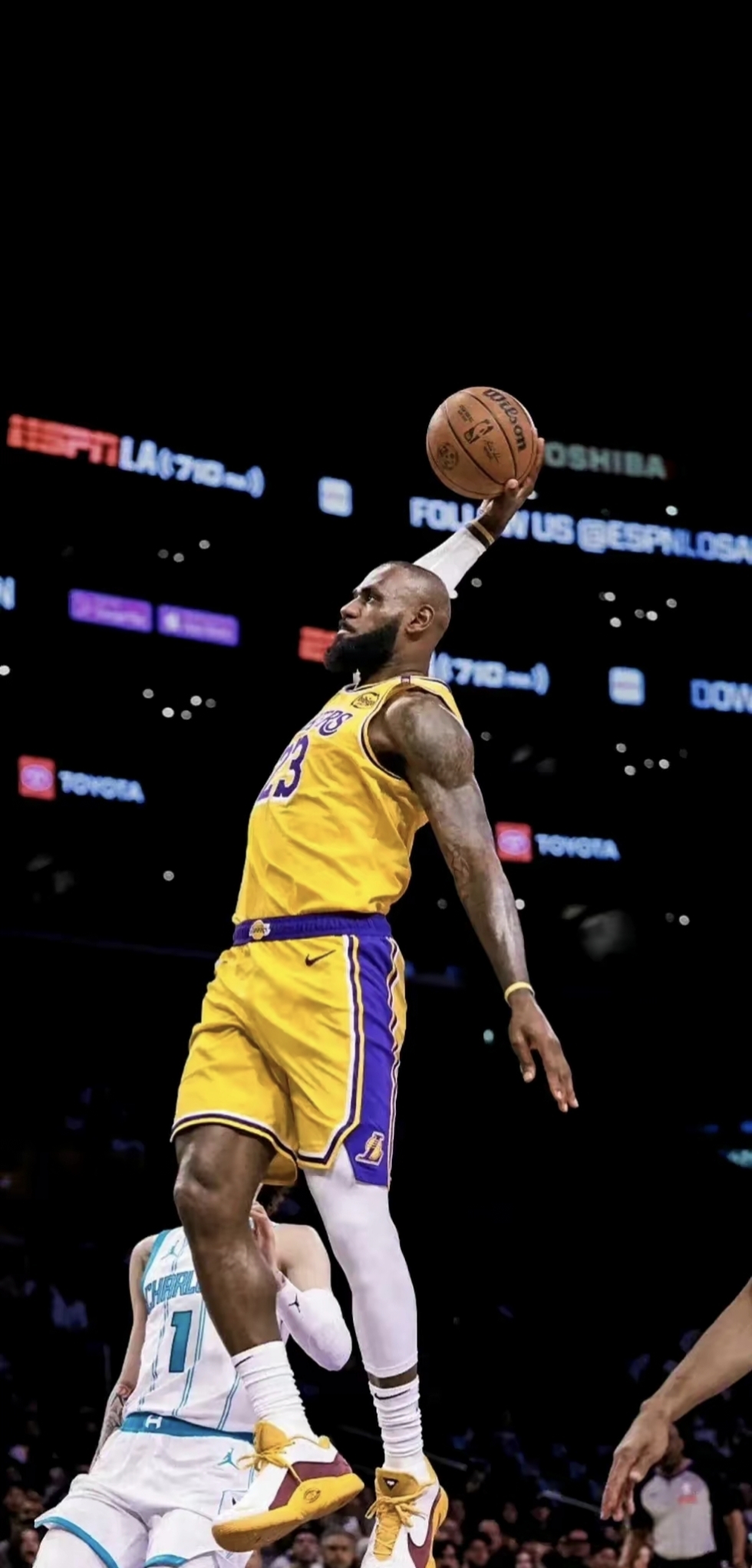 亚博-詹姆斯迎来十五赛季高光表现，雄鹿球迷沸腾！的简单介绍